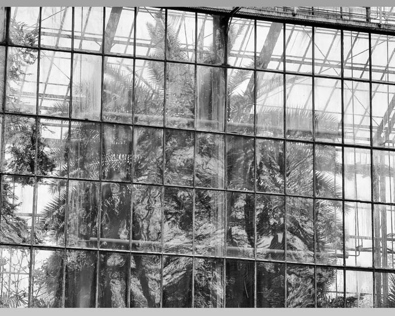 © Martyna Benedyka - Image from the Kintsugi photography project