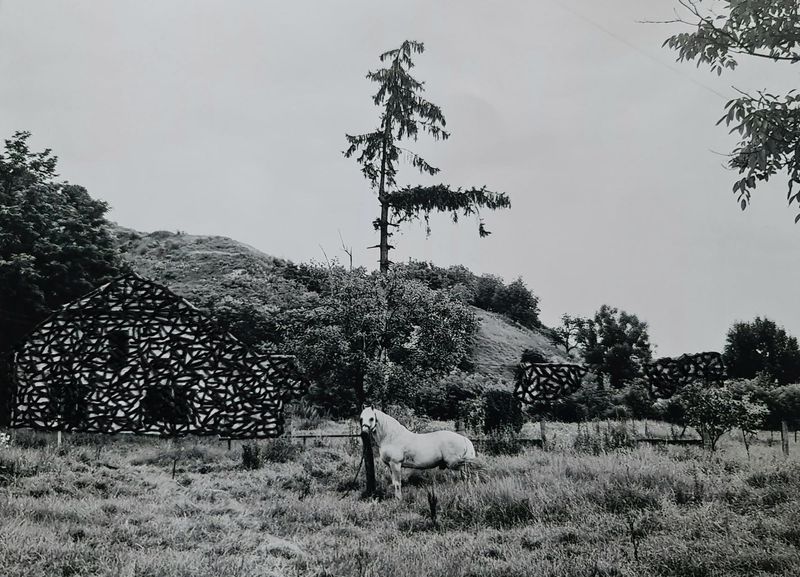 © Martyna Benedyka - Image from the Genius Loci photography project