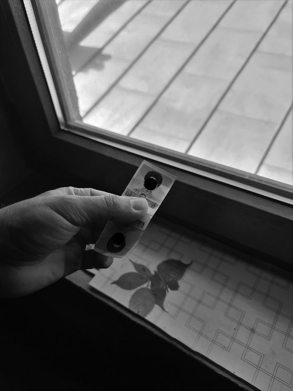 © Martyna Benedyka - Image from the Don't Forget You're Going To Die photography project