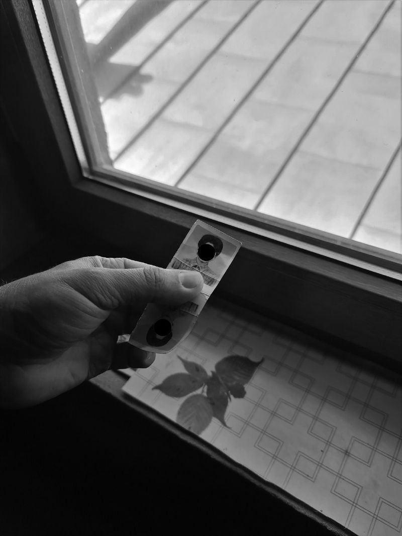 © Martyna Benedyka - Image from the Don't Forget You're Going To Die photography project