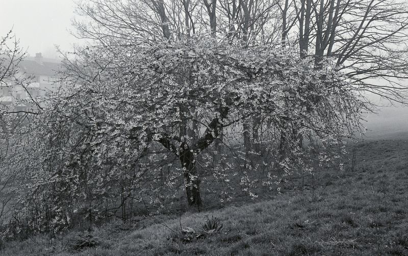 © Martyna Benedyka - Image from the On The Border photography project