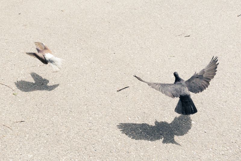 © giulio longo - Image from the SVEGLI IN ATTESA DEL SOGNO photography project