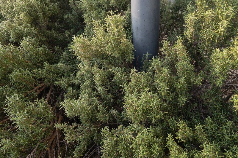 © giulio longo - Image from the SVEGLI IN ATTESA DEL SOGNO photography project