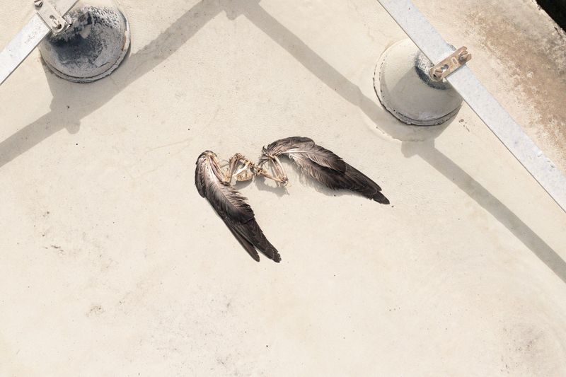 © giulio longo - Image from the SVEGLI IN ATTESA DEL SOGNO photography project