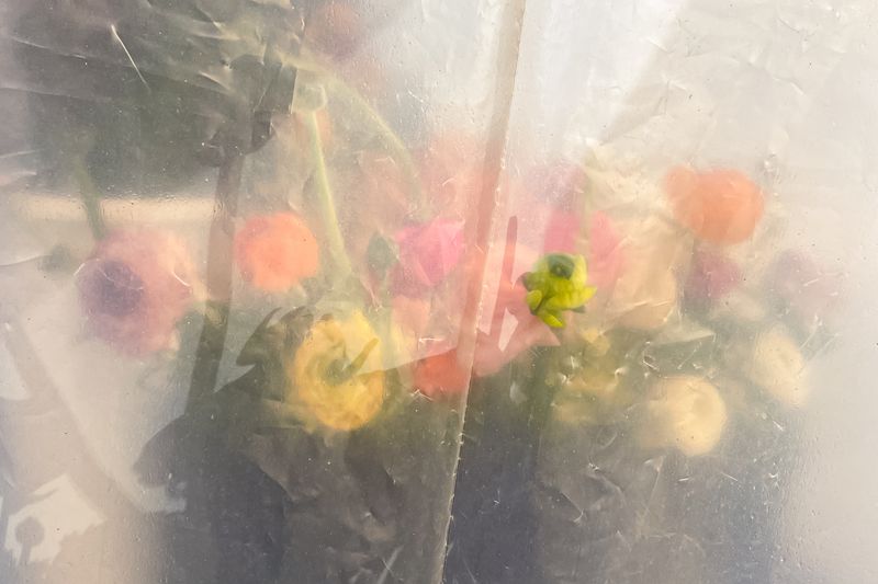 © giulio longo - Image from the SVEGLI IN ATTESA DEL SOGNO photography project