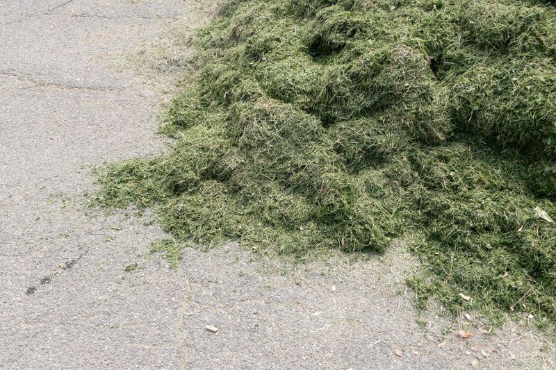 © giulio longo - Image from the SVEGLI IN ATTESA DEL SOGNO photography project