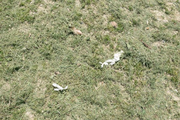 © giulio longo - Image from the SVEGLI IN ATTESA DEL SOGNO photography project