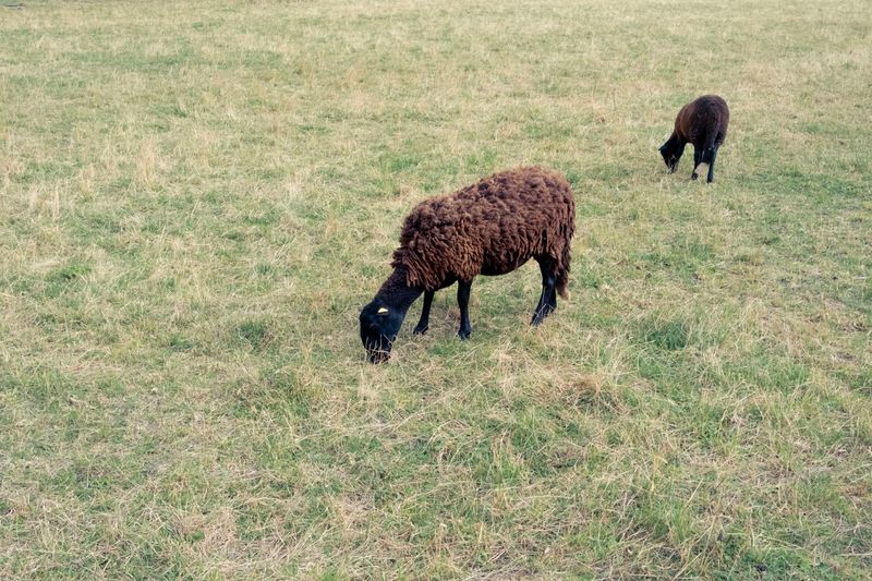 © giulio longo - Image from the Le montagne hanno gli occhi photography project