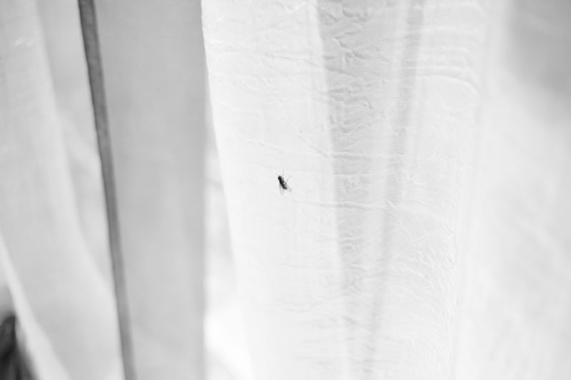 © giulio longo - Image from the Le montagne hanno gli occhi photography project