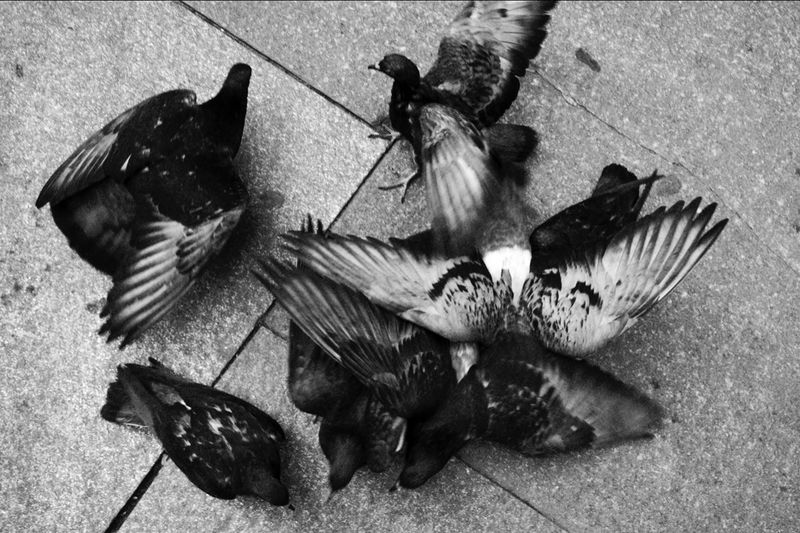 © giulio longo - Image from the TO: FROM: photography project