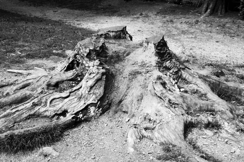 © giulio longo - Image from the TO: FROM: photography project