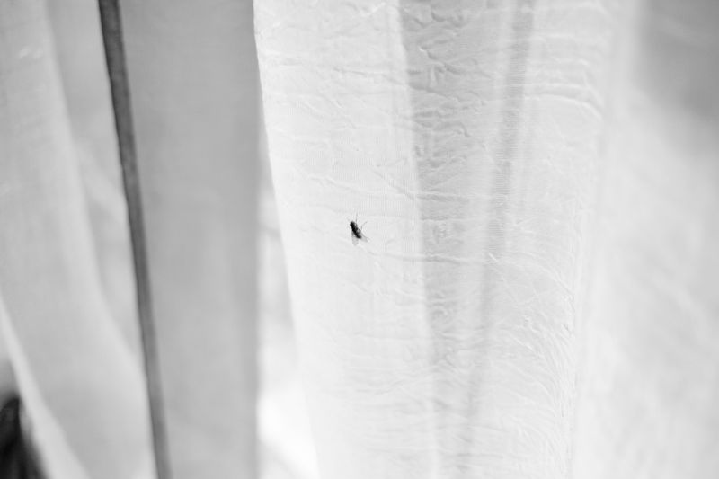 © giulio longo - Image from the le montagne hanno gli occhi photography project