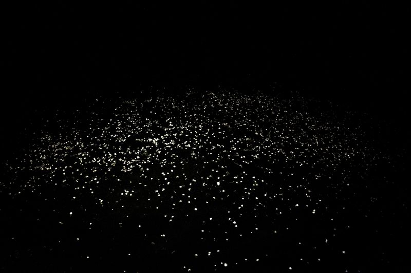 © Sana Ahmadizadeh - Image from the A PLACE TO LIVE photography project