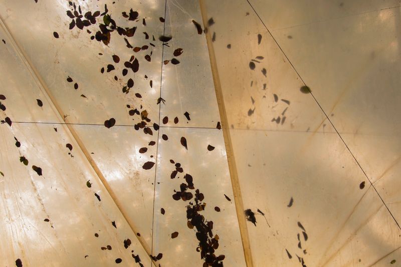 © Sana Ahmadizadeh - (Galan Province, North of Iran, 2018)