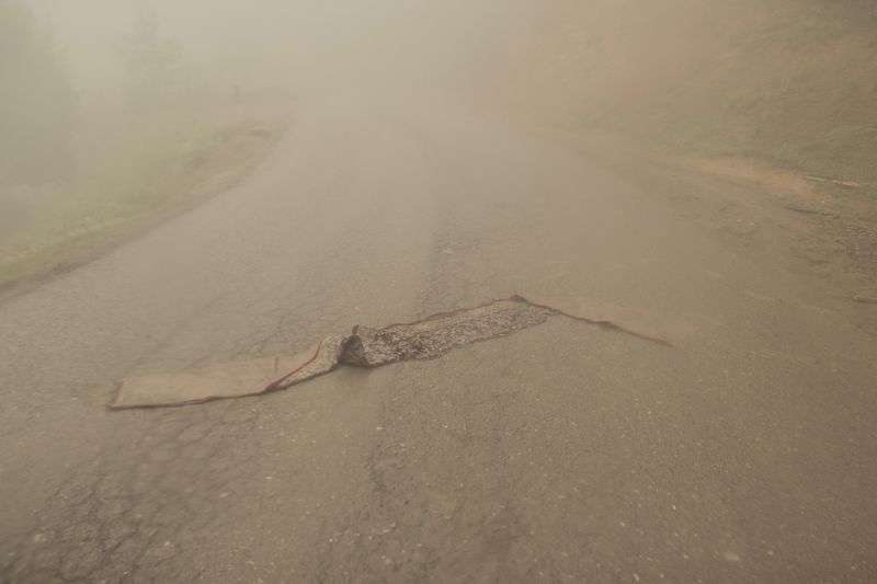 © Sana Ahmadizadeh - " Iranian carpet", A piece of Iranian carpet has disappeared in the fog after rain. (Gilan Province, North of Iran, 2018)