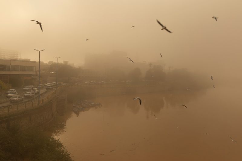 © Sana Ahmadizadeh - (Ahvaz, Iran, 2017).