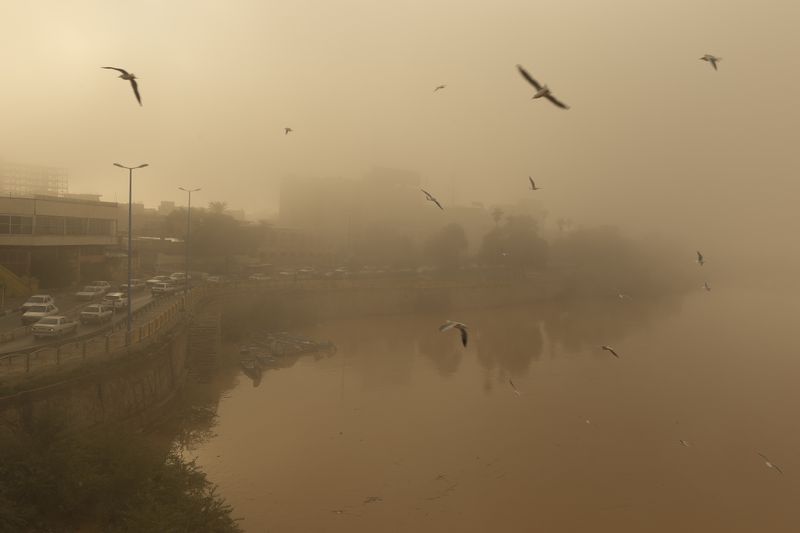 © Sana Ahmadizadeh - (Ahvaz, Iran, 2017).