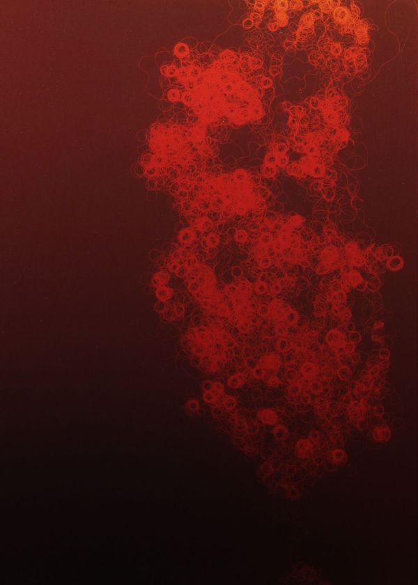 © Melanie Issaka - Dark and Lovely: Red Photogram, C-type print, 60x40cm, 2021