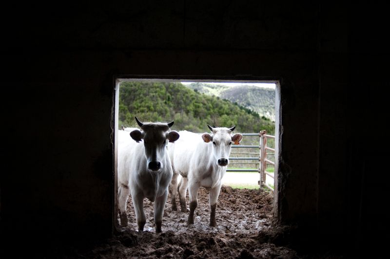 © Daria Addabbo - Image from the in the italian province photography project