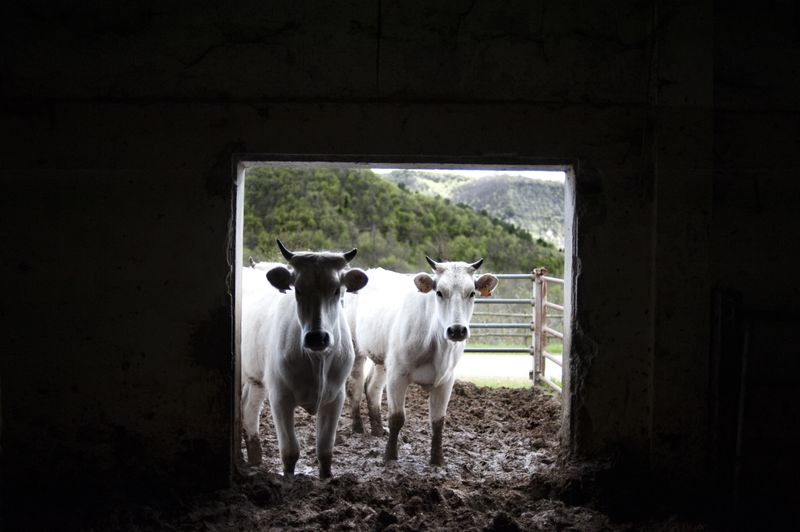 © Daria Addabbo - Image from the in the italian province photography project