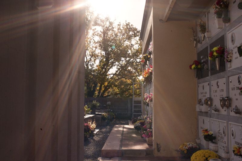 © Daria Addabbo - Image from the in the italian province photography project