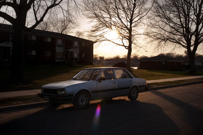 © Daria Addabbo - Oceanport, New Jersey