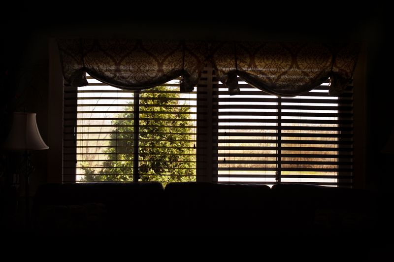 © Daria Addabbo - Oceanport, New jersey