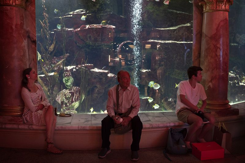 © Daria Addabbo - Ceasar Palace, Las Vegas, Nevada. August 2019