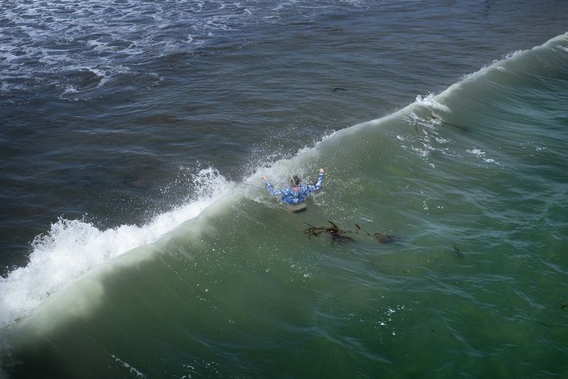 © Daria Addabbo - Cayucos, California. August 2019
