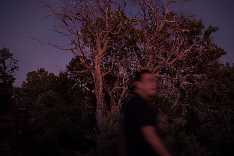 © Daria Addabbo - Grand Canyon, Arizona. August 2019