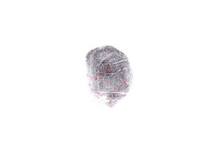 Blind Spot