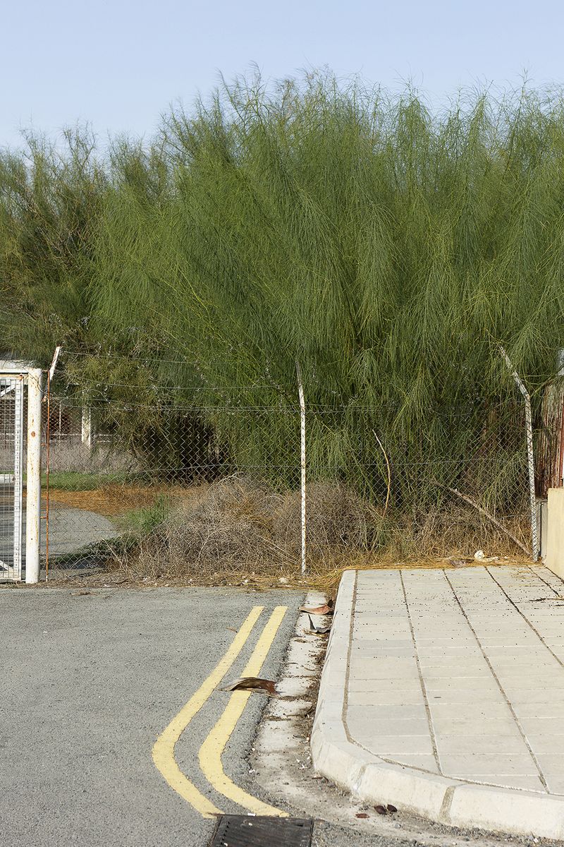 © Ekaterina Bodyagina - A fence next to the Green Line between Southern and Northern Cyprus in Nicosia