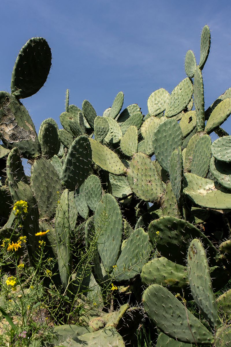 © Ekaterina Bodyagina - Image from the Taboo. Borders. photography project