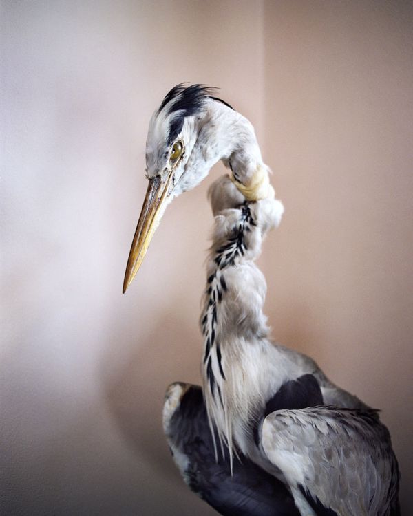 © Krystyna Dul - Image from the Carpe Fucking Diem. Life After photography project