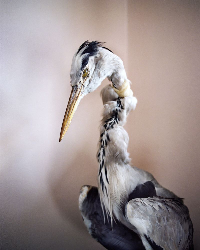 © Krystyna Dul - Image from the Carpe Fucking Diem. Life After photography project