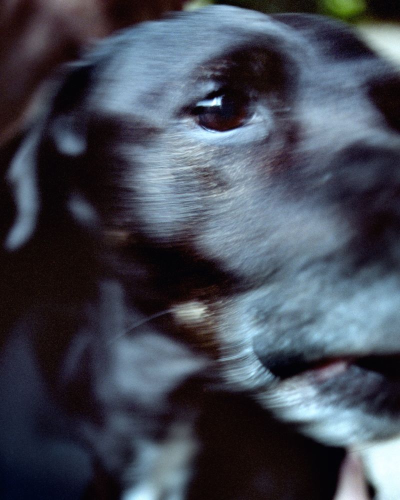 © Krystyna Dul - Image from the Carpe Fucking Diem. Life After photography project