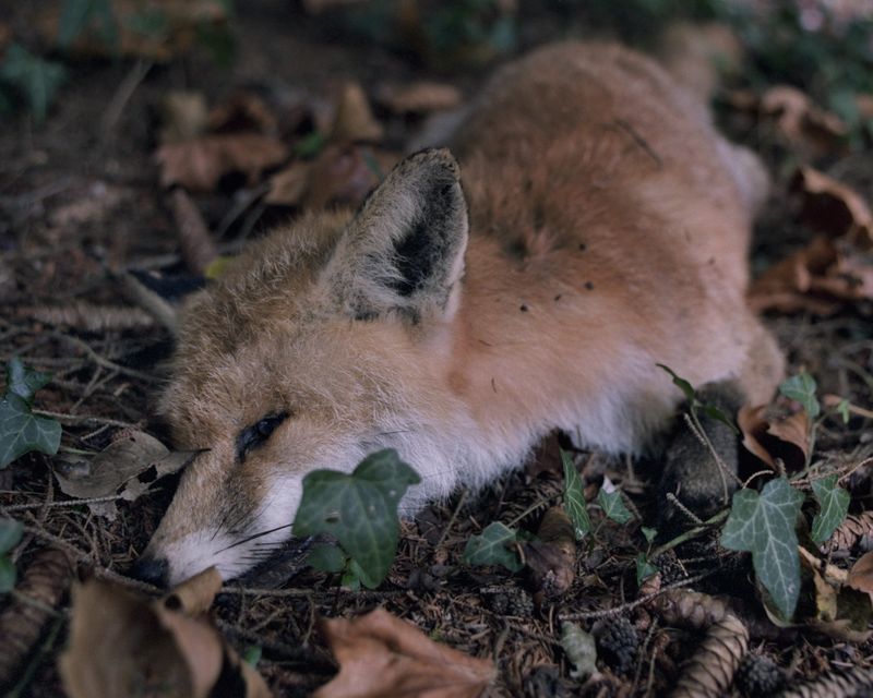 © Krystyna Dul - Image from the Carpe Fucking Diem. Life After photography project