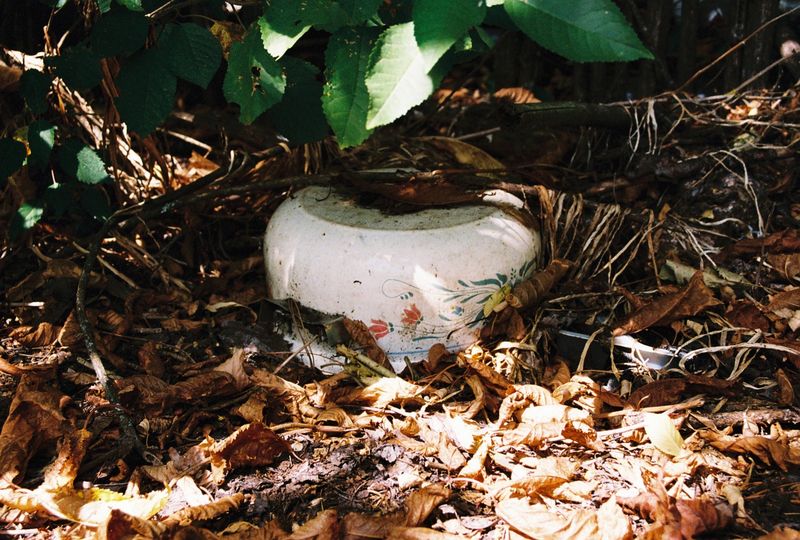 © Natalia - My grandmother's casserolle.