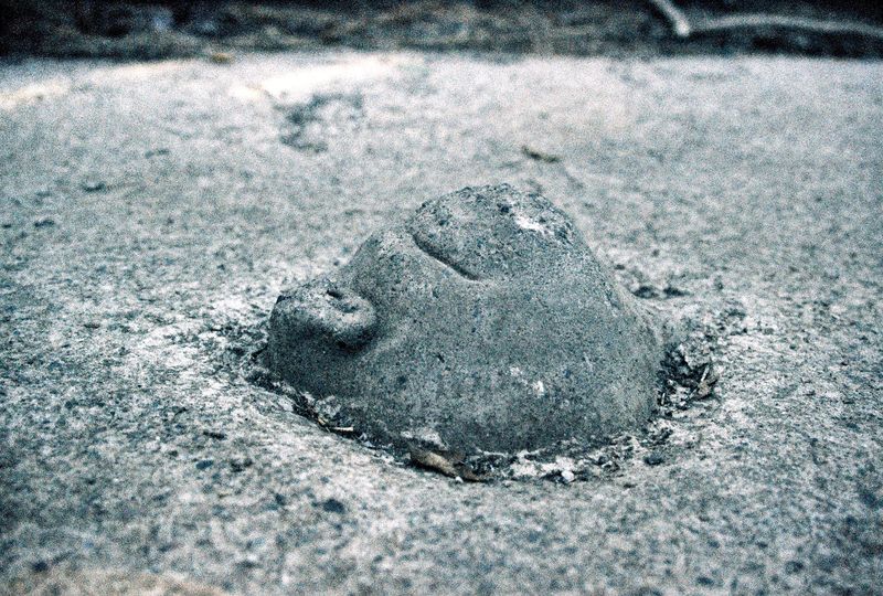 © Natalia - Hidden sculpture in the backyard of the University of Chile's Art Faculty.