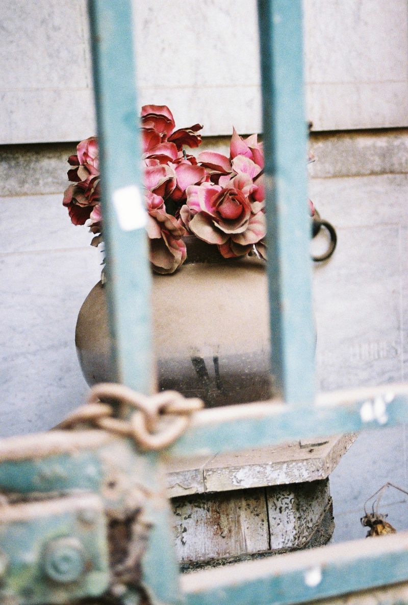 © Natalia - Flowers behind bars.