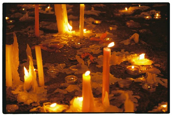 © Natalia - A little rose among candles in memoriam of victims.