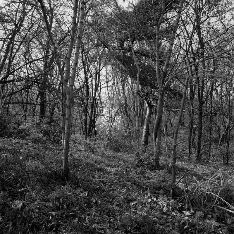 © Clara Sartor - Image from the jayeong 1 / 자영 1 photography project