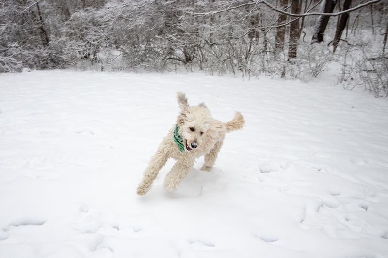 © Emma Brown - Monet on the Mound. Columbus, Ohio, 2021.