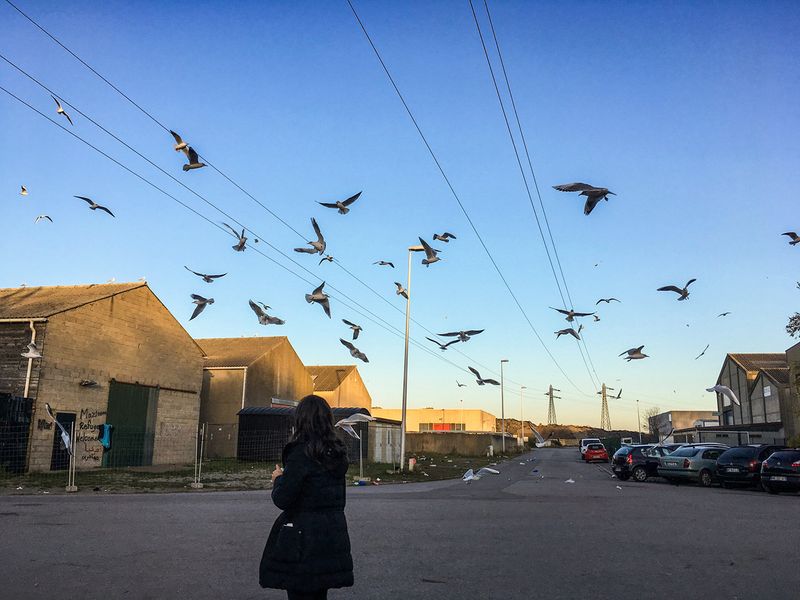 © Emma Brown - Song for a Seagull. Calais, France, 2017.