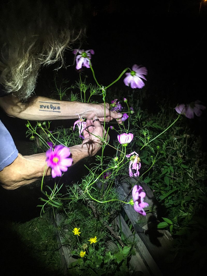 © Emma Brown - night gardener. Columbus, Ohio, 2020.
