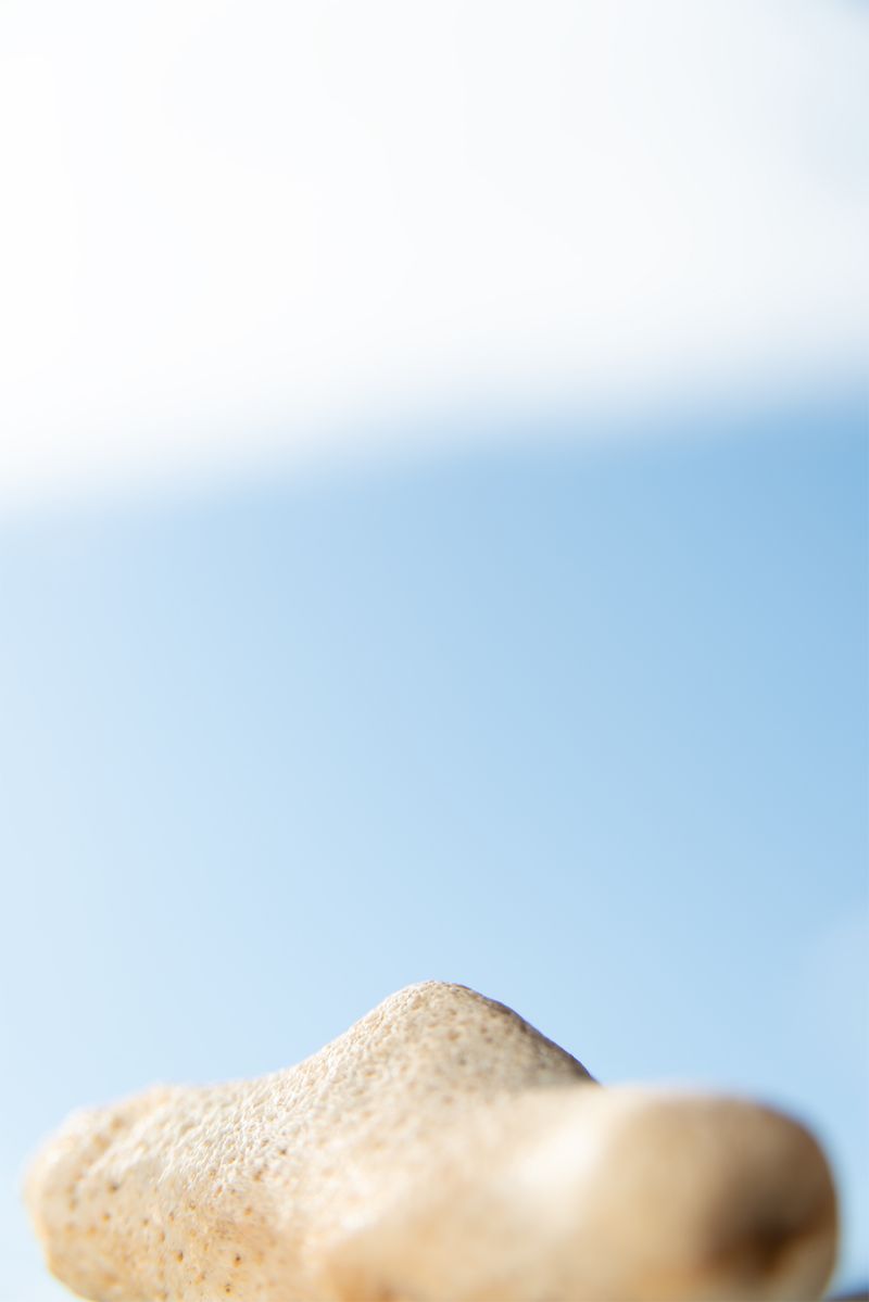 © Anouk Rees - Image from the Gemengd - Mixed photography project