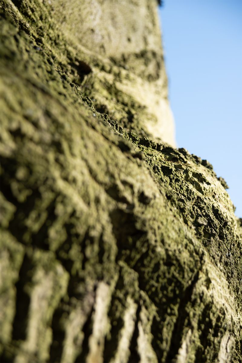 © Anouk Rees - Image from the Gemengd - Mixed photography project