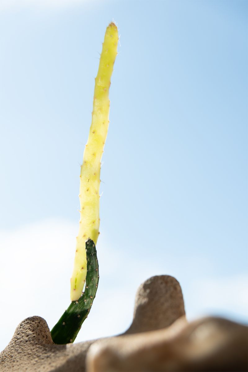 © Anouk Rees - Image from the Gemengd - Mixed photography project