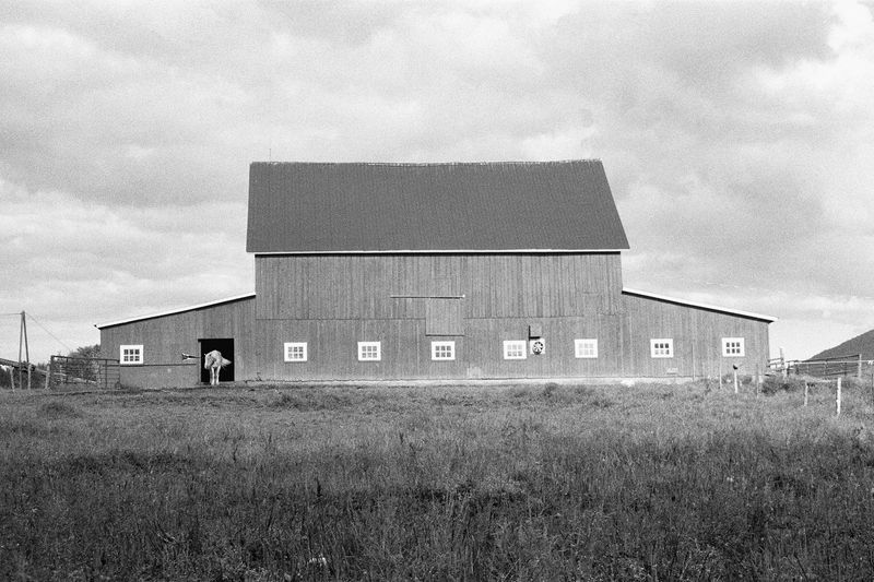 © Thibault belouis - Image from the Dias Tras Dias photography project