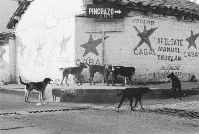 © Thibault belouis - Image from the Dias Tras Dias photography project